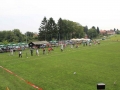 FITA-144-3.JPG